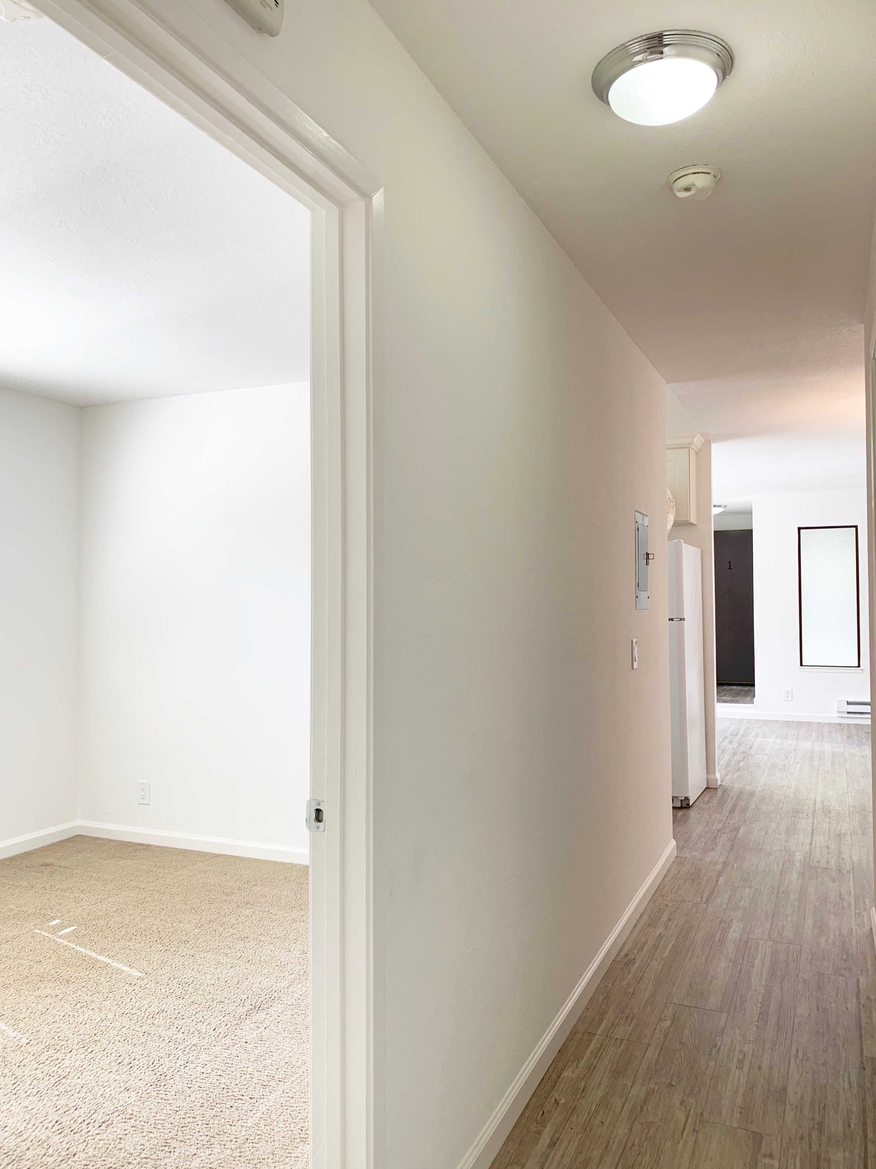 Park Avenue Apartments photo 3